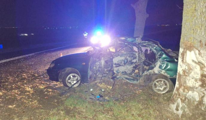 Bitrix 162120: 2024_11_21_08_05_20.png