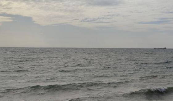 Bitrix 163501: 2024_12_16_08_33_47.png