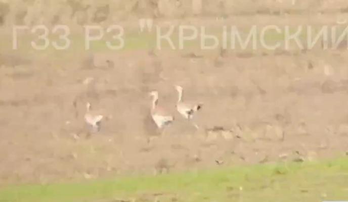 Bitrix 178897: 20251014_photo2025_10_14_122857_1200.jpeg