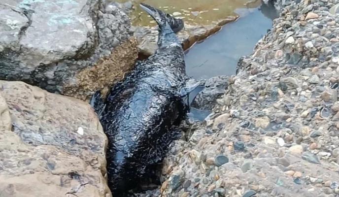 Bitrix 164933: 2025_01_15_10_49_24.png