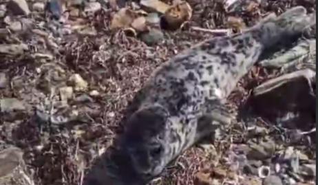 Bitrix 168559: 2025_03_21_12_03_17.png