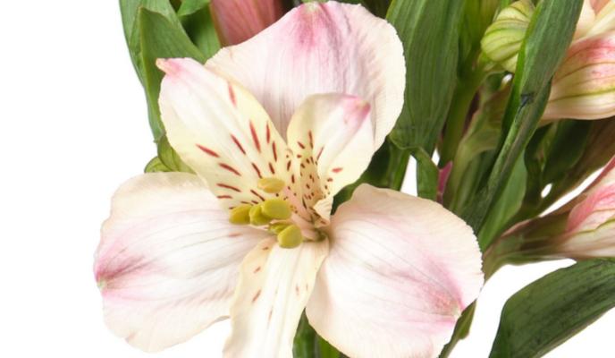 Bitrix 171033: 2025_05_07_13_52_04.png