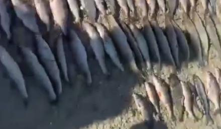 Bitrix 173148: 2025_06_17_16_12_31.png