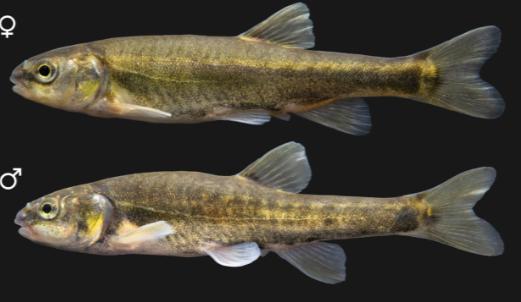 Bitrix 174171: 2025_07_07_14_51_43.png