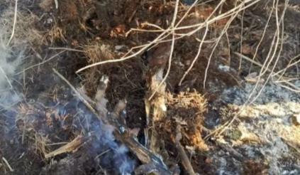 Bitrix 184644: 2026_03_03_11_28_59.png