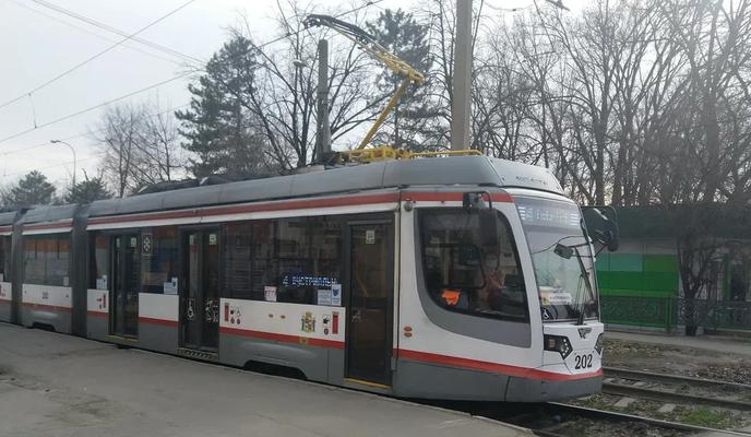 Bitrix 184787: 203.jpg