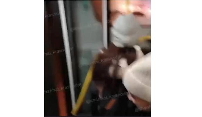 Bitrix 162781: 203.jpg