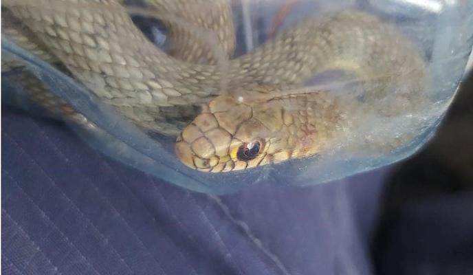 Bitrix 98294: 204183661_194280309283934_4455067576161912665_n.jpg