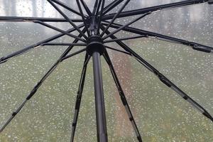 Фото Новая Кубань