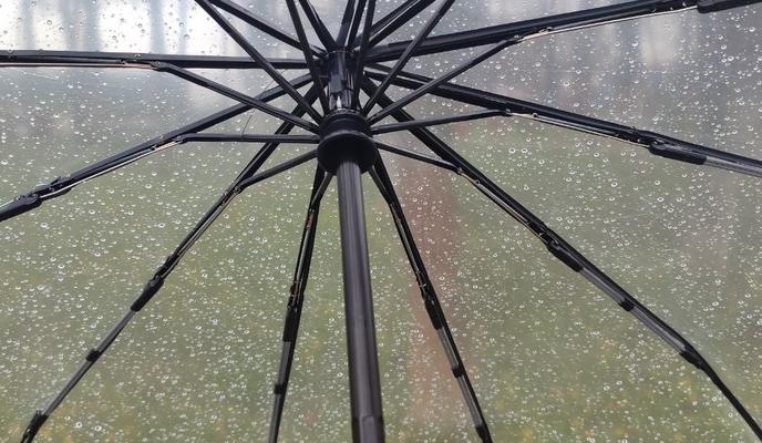 Фото Новая Кубань