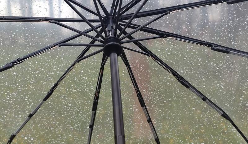 Фото Новая Кубань