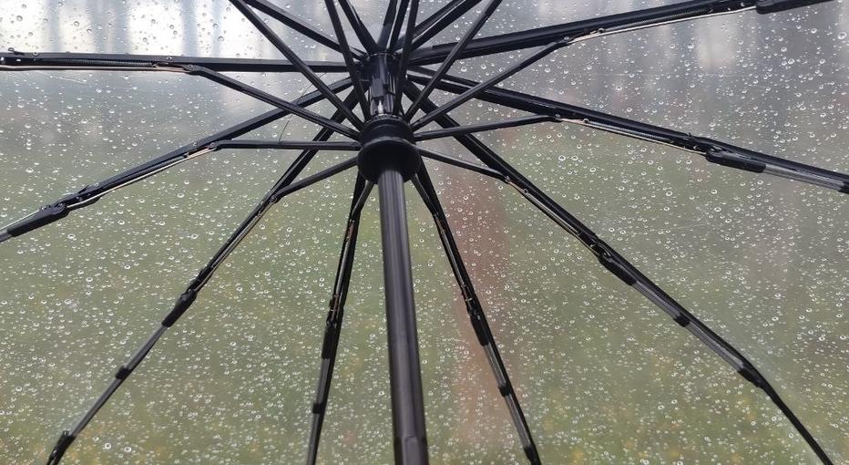 Фото Новая Кубань