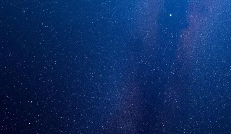 Bitrix 184957: 20.jpg