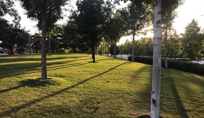 Bitrix 100324: 21366177_6615_4c28_9bcb_0f0826100d24.jpg