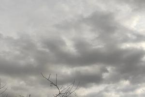 Bitrix 162090: 2222.jpg