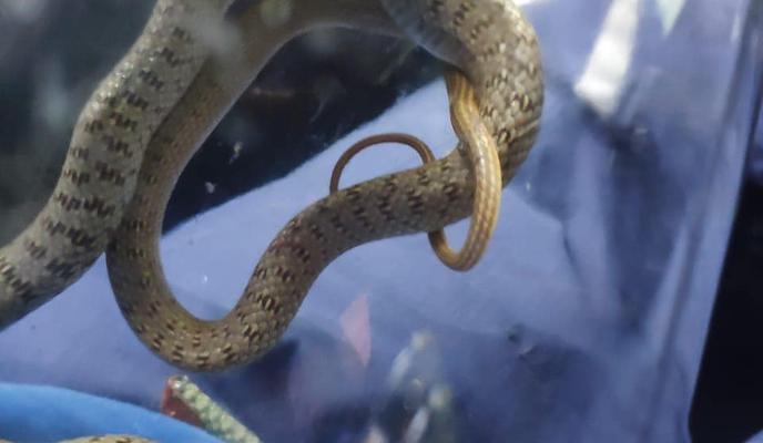 Bitrix 100106: 222599979_329314015567009_7202502367373966739_n.jpg