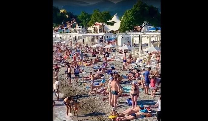 Bitrix 97913: 2244.jpg