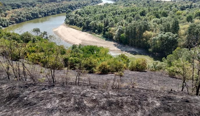 Bitrix 157429: 2244.jpg