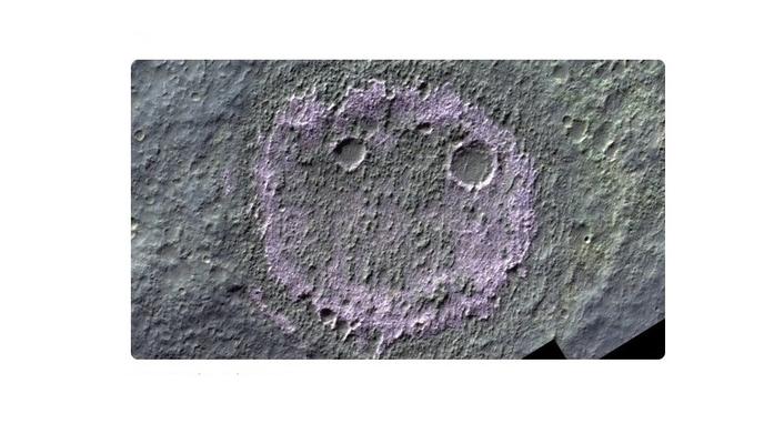 Bitrix 158421: 225.jpg