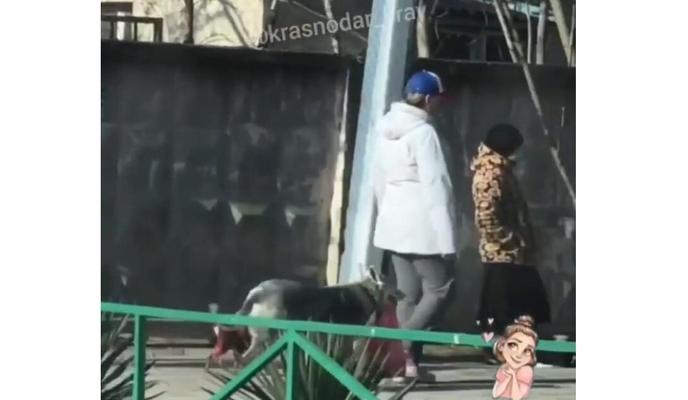 Bitrix 93420: 22925165_4f95_4c23_8953_ec2eb24cb7d2.jpg