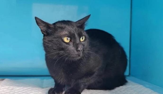 Bitrix 181852: 22.jpg