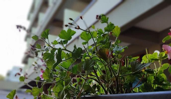 Bitrix 155719: 22.jpg