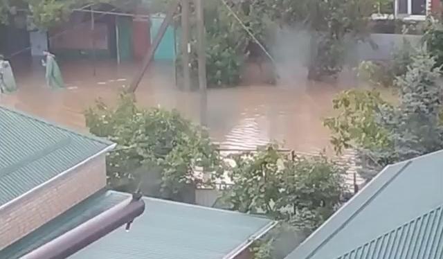 Bitrix 101614: 235511415_240823044569615_9082345426938392761_n.jpg