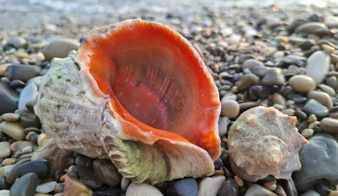 Bitrix 176466: 236.jpeg