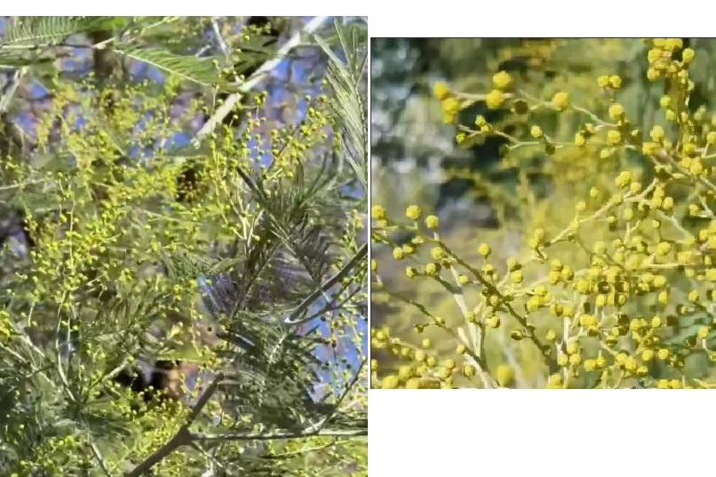 Bitrix 164984: 236.jpg