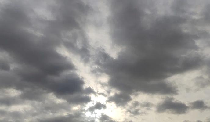 Bitrix 160024: 239.jpg