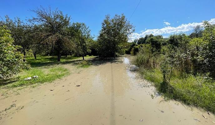 Bitrix 102104: 239365156_4623060231039640_6598560046830674122_n.jpg