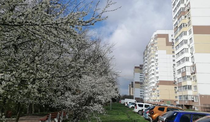 Bitrix 116292: 23ba5bd6_be13_43be_bcb0_0e693f45ce92.jpg