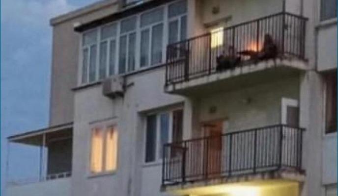 Bitrix 102931: 241090504_388244042853440_4944580166817796587_n.jpg