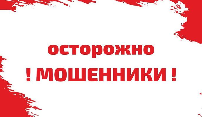 Bitrix 106326: 248847765_1506077179765914_2906076513410234273_n.jpg