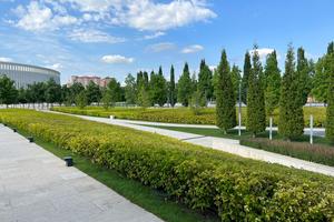 Bitrix 171943: 24d77330_e604_4c3a_ba8f_1d93152797dd.jpg