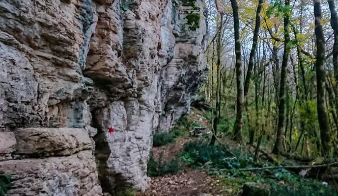 Bitrix 108133: 259722217_299637441889277_8706290643806667309_n.webp