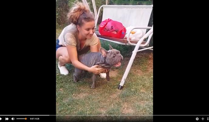 Bitrix 102428: 25.jpg