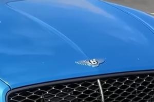 Bitrix 185423: 25.jpg