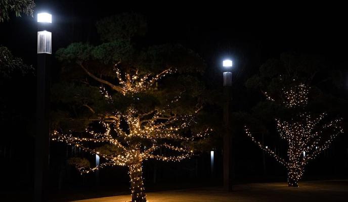 Bitrix 108407: 260231163_1319360985180848_1671623436571684936_n.jpg