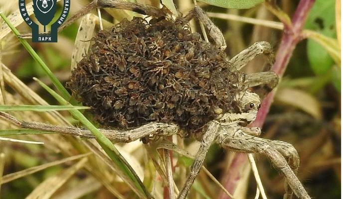 Bitrix 114030: 274907666_907081433300221_8418759736796049052_n.jpg