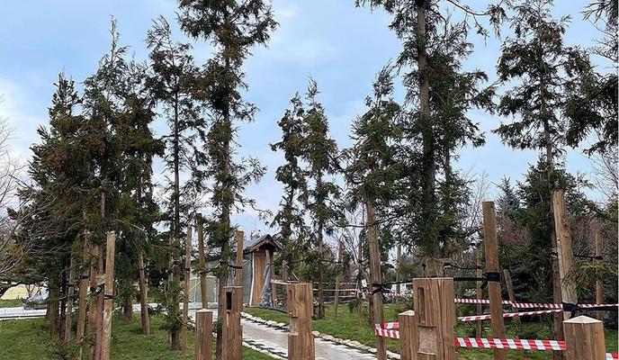 Bitrix 114164: 275104119_126562663262510_3795690472406180495_n.jpg