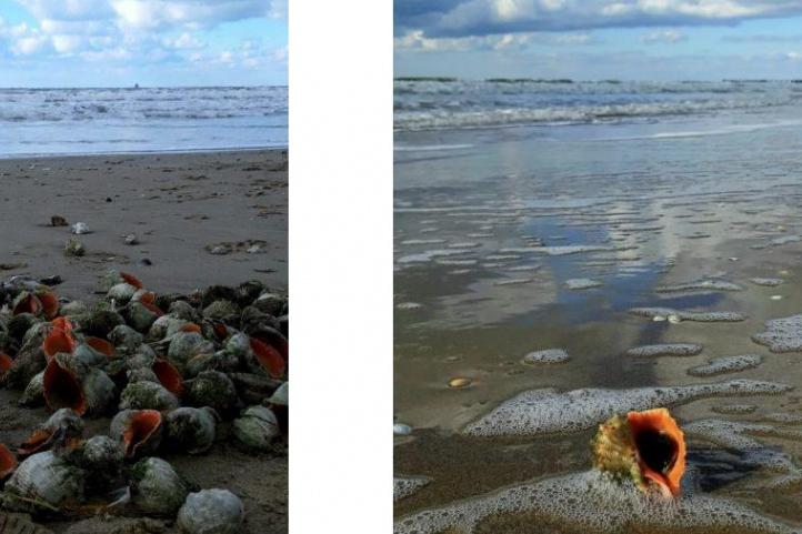 Bitrix 70854: 2.jpeg