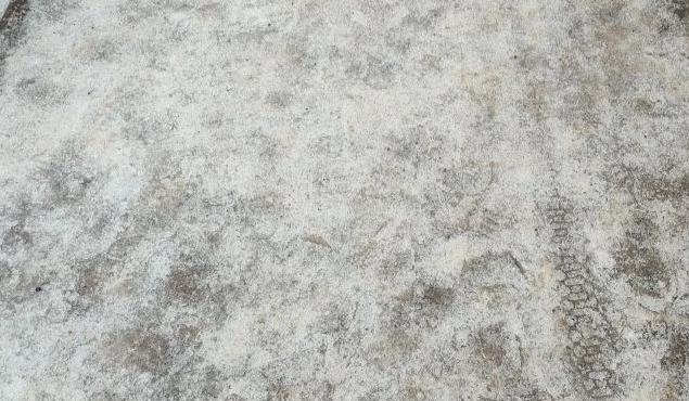 Bitrix 183724: 2.jpg