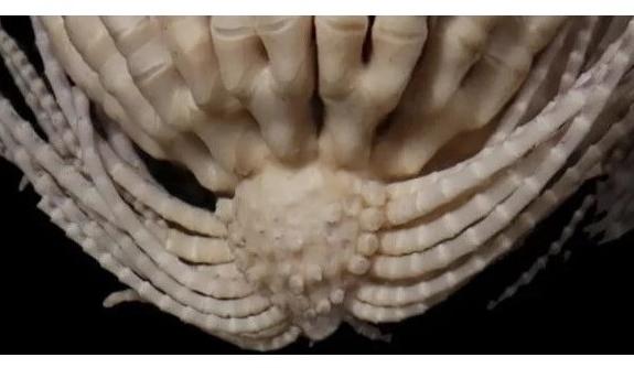 Bitrix 139231: 2.jpg