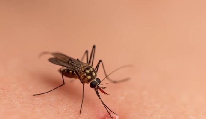 Bitrix 183543: 2.jpg