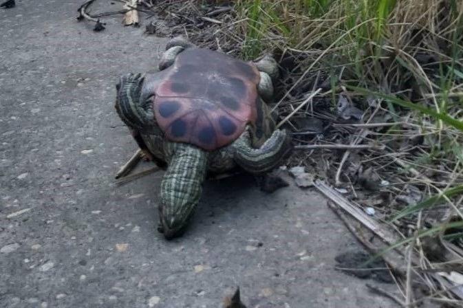 Bitrix 131596: 2.jpg