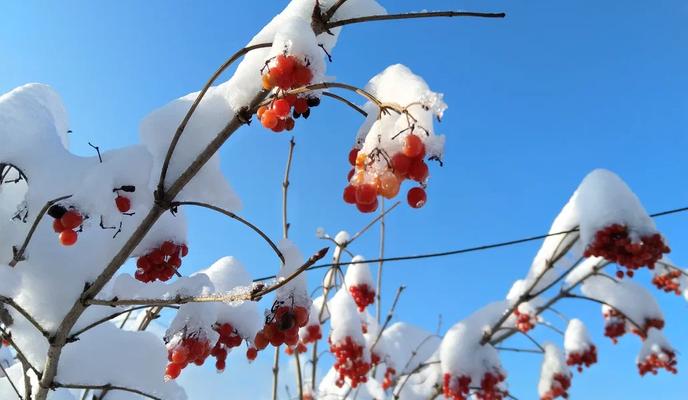 Bitrix 182783: 2.jpg