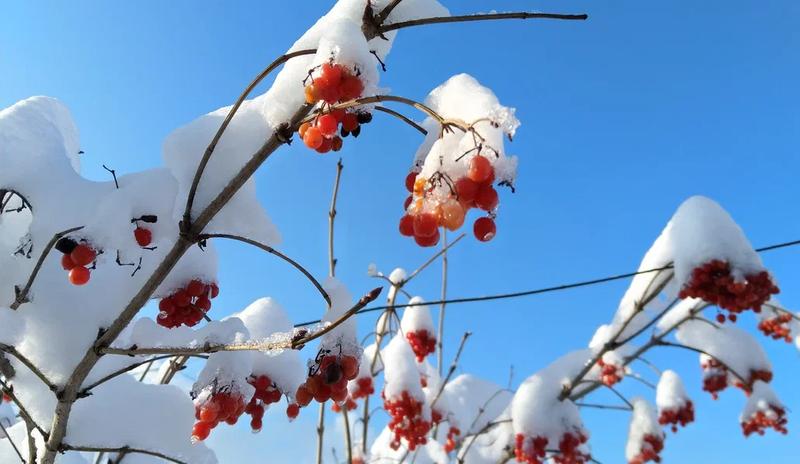 Bitrix 182783: 2.jpg