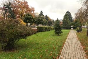 Bitrix 125081: 2a80097d_f40b_493c_a60f_281eb841c081.jpg