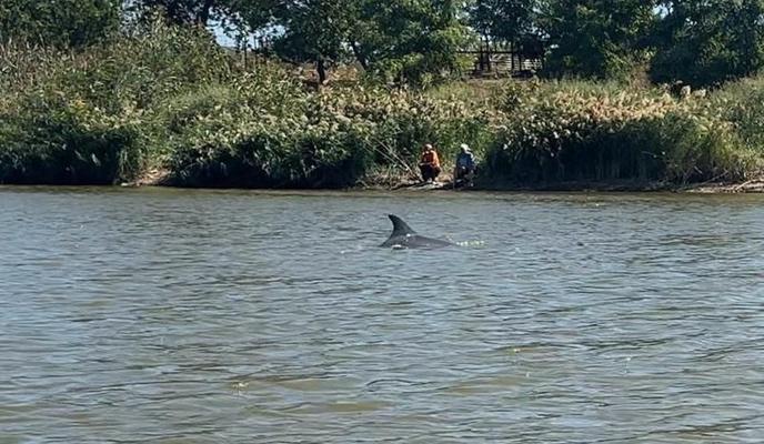 Bitrix 177717: 300.jpg